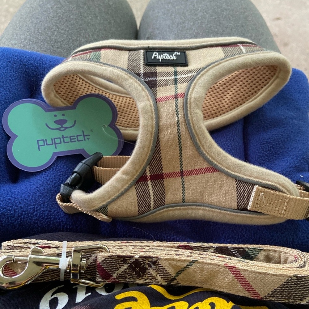 Small dog harness and matching leash